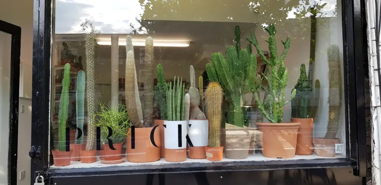 20170901 173816 768x373