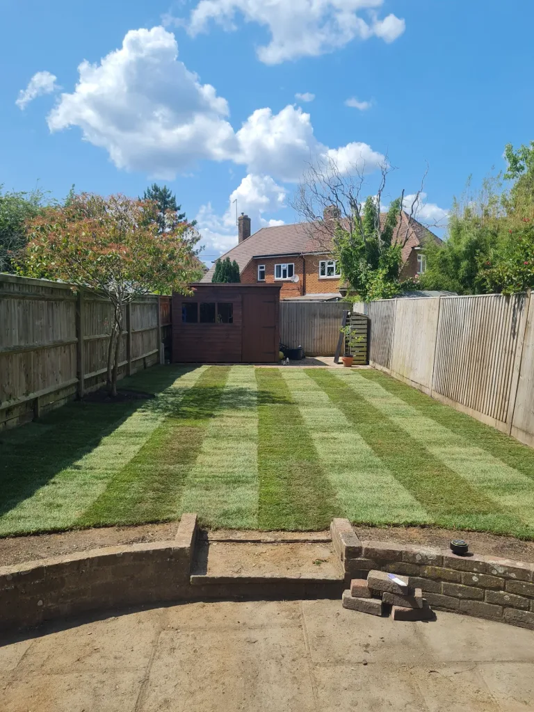 2025 03 12 1 768x1024