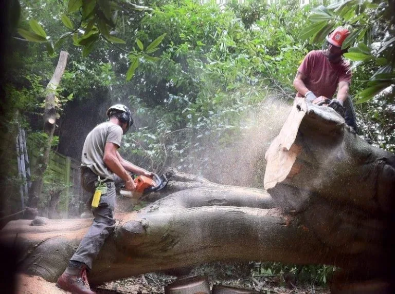 462598451 3028598883947335 2809987032173800884 n 768x573