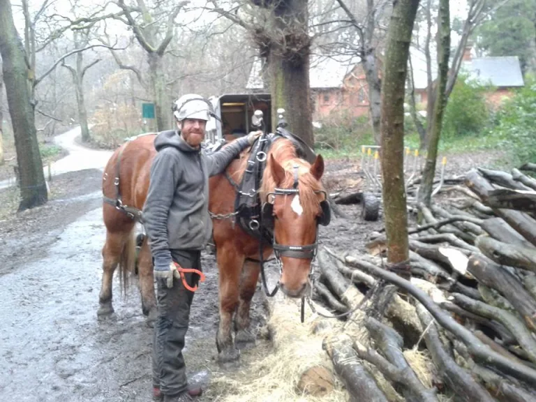 463270757 3034452606695296 4200021329119522356 n 768x576