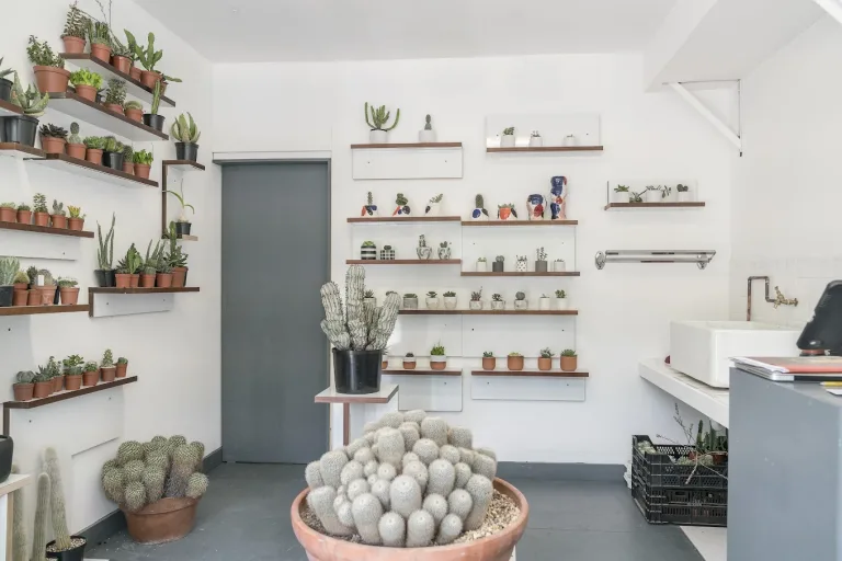 DSC05592 edit 768x512