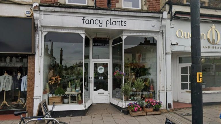 Fancy Plants 768x432