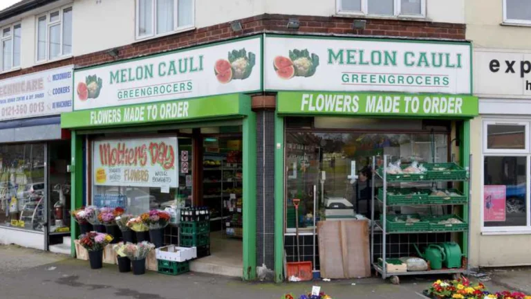 melon 768x432