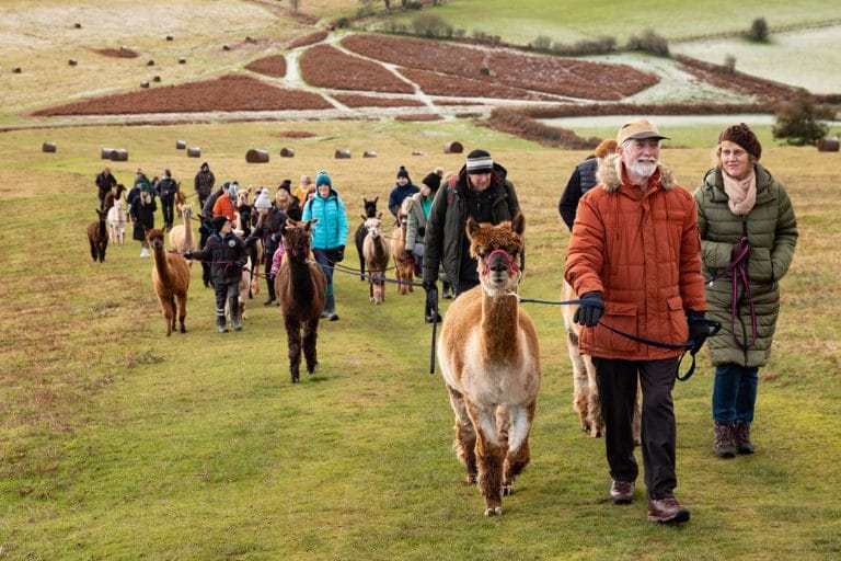 Trekking Pic 768x512