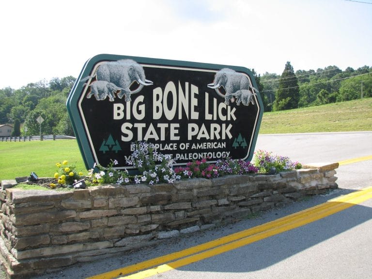 1920px Bigbonelick 768x576