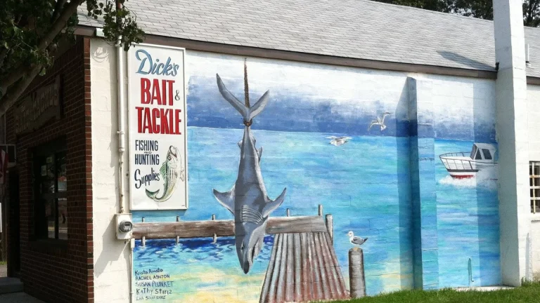 dicks bait 768x432