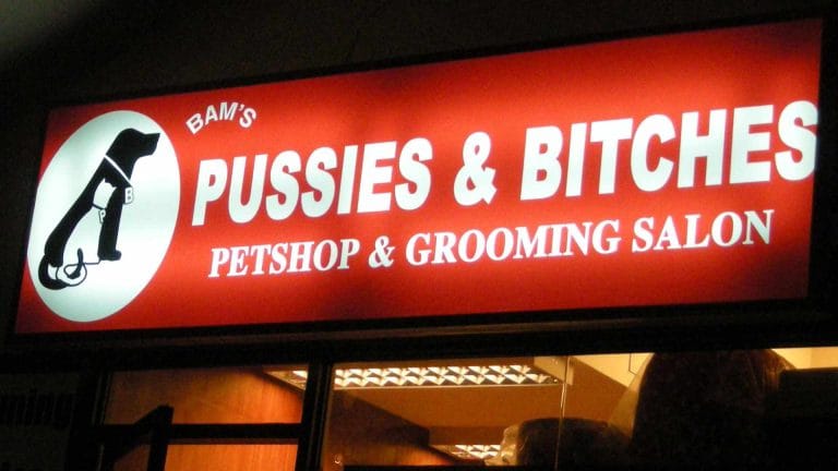 pussiesbitches 768x432