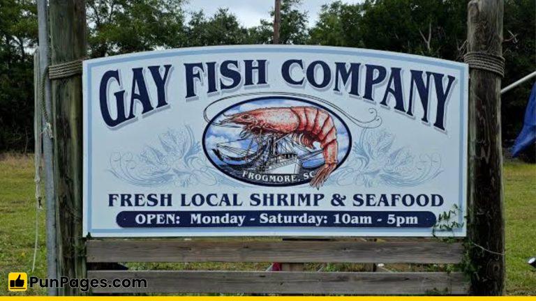 gay fish 768x432